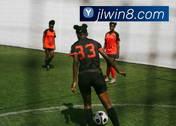 九龙娱乐官网发展历程